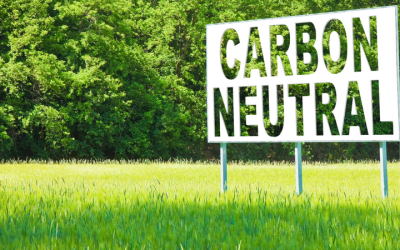 Unser Weg zur CO2-Neutralität – Beweggründe und Tipps