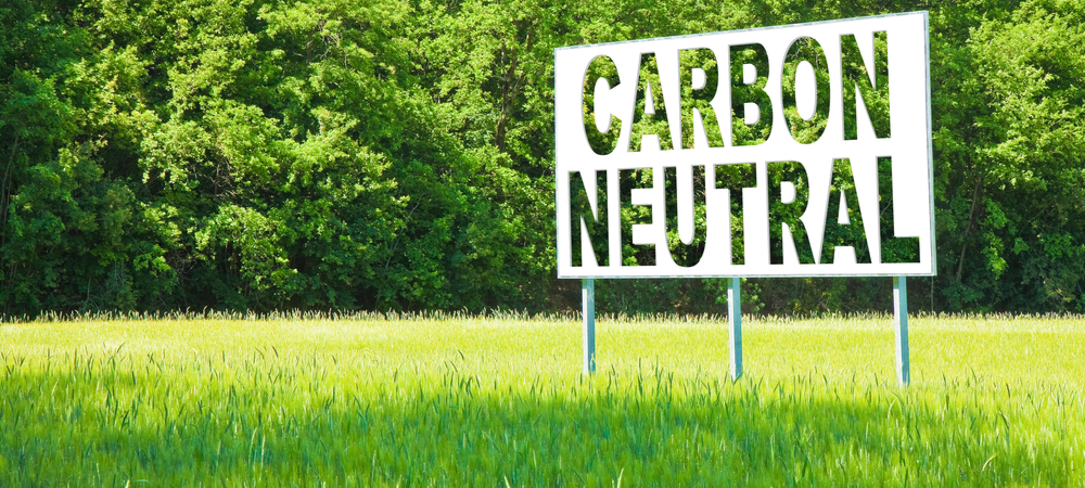 Unser Weg zur CO2-Neutralität – Beweggründe und Tipps