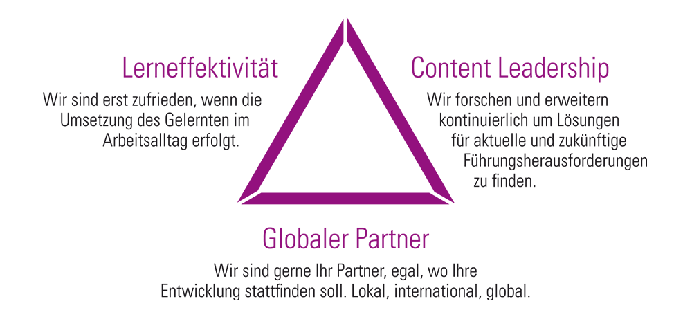 Lerneffektivität-Content Leadership-Globaler Partner