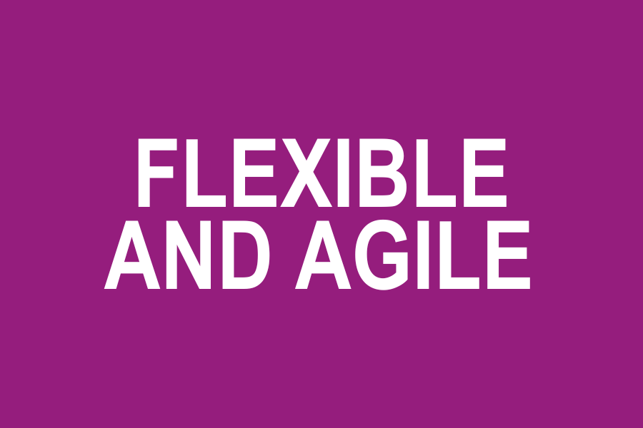 Flexible & Agile Team MDI